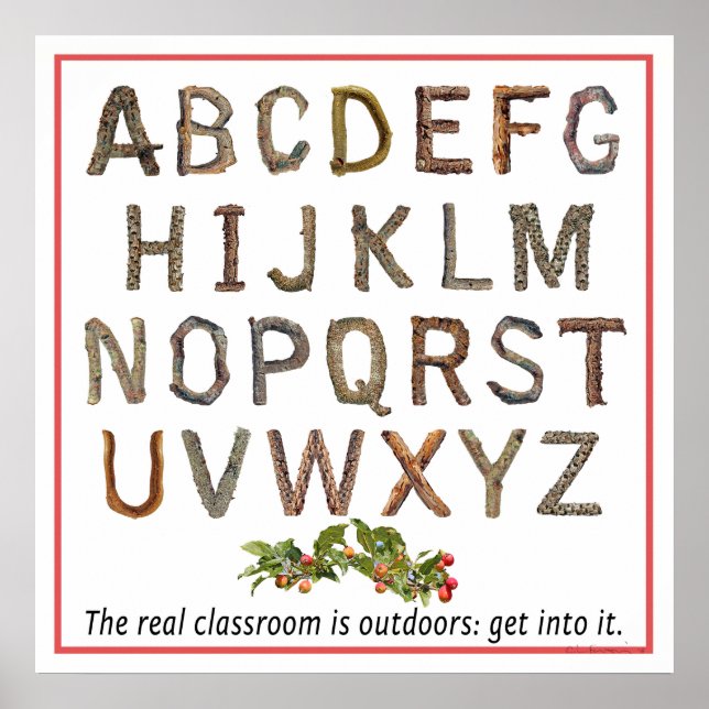 Alphabet Outdoor Classroom Poster (Front)