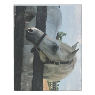 Alphabet Soup Faux Canvas Print