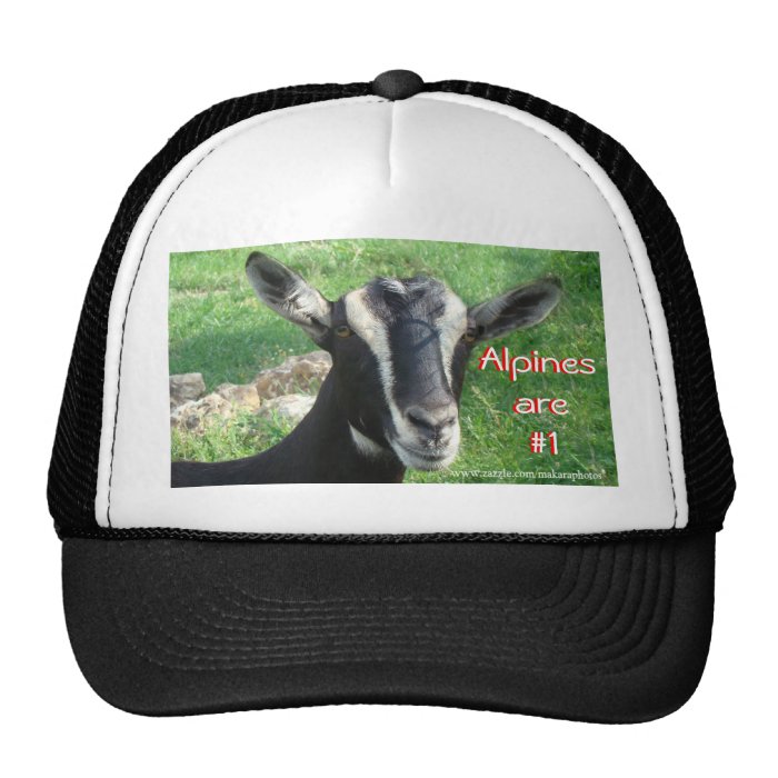 Alpine Cap customize Mesh Hats