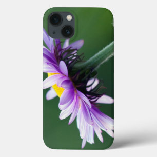 Alpine Daisy iPhone 13 Case