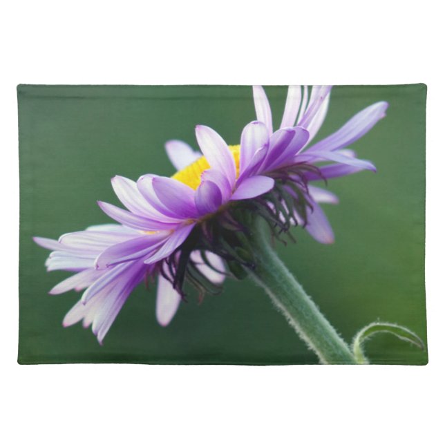 Alpine Daisy Cloth Placemat (Front)
