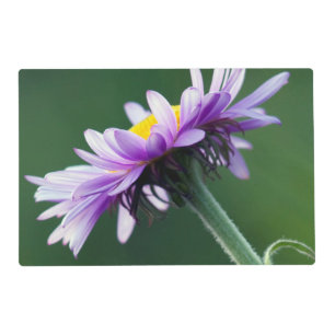 Alpine Daisy Placemat