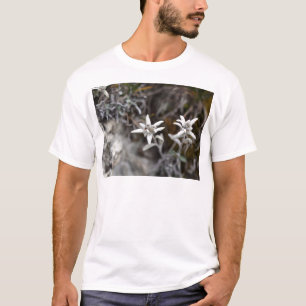 Alpine Edelweiss T-Shirt