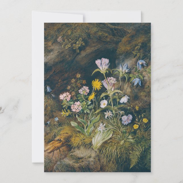 Alpine Flora | Theodor Petter (Front)