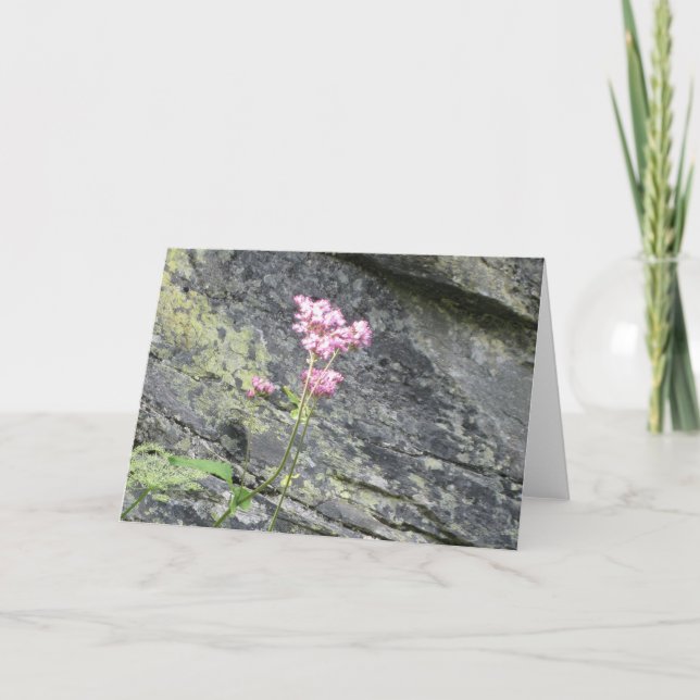 Alpine Flowers Card (Front)