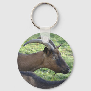 Alpine goat keychain