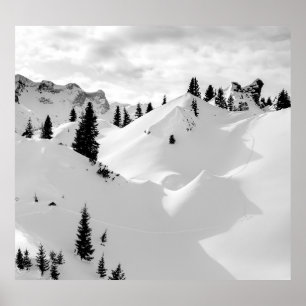 Alpine Landscape: Snowy Fir Trees Mountains Poster