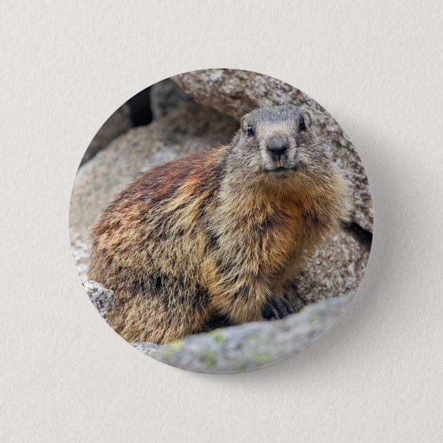 Alpine Marmot Badge Pinback Button (Front)