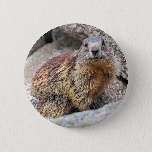 Alpine Marmot Badge Pinback Button
