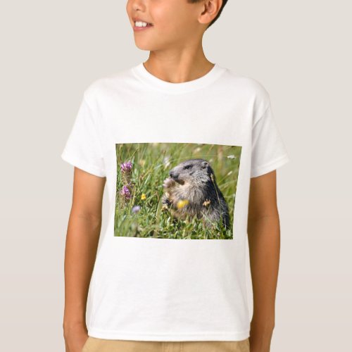Alpine marmot eating flower T_Shirt