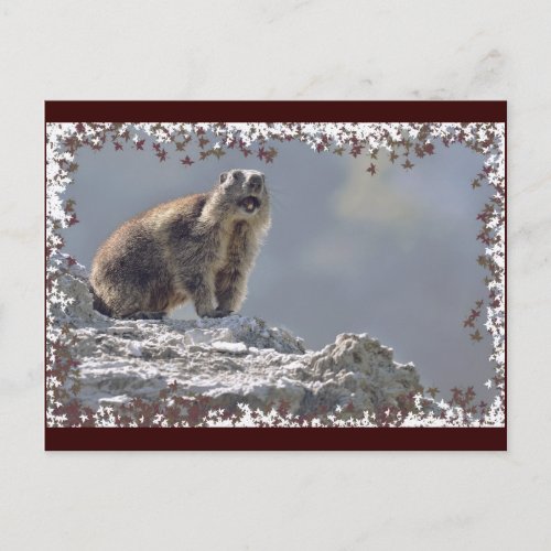 Alpine marmot in leaves frame postcard