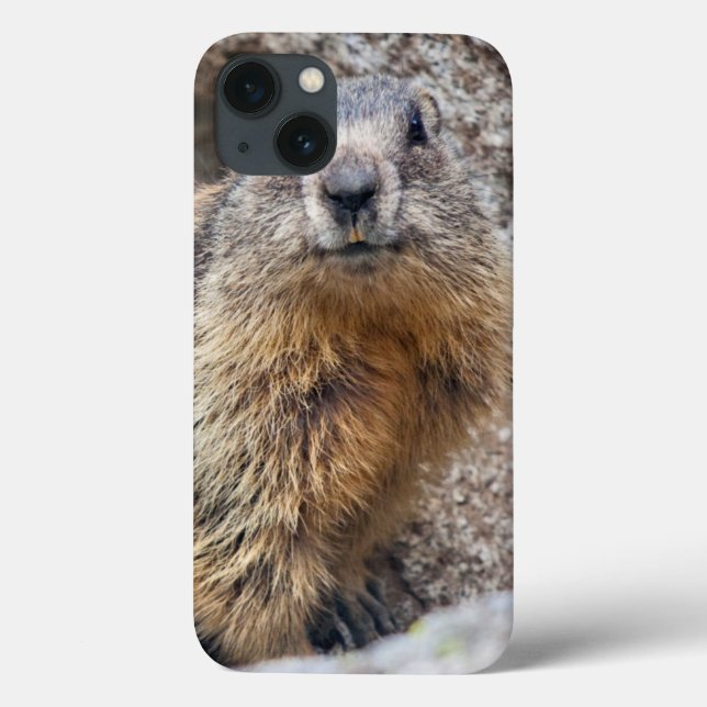 Alpine Marmot iPad Case (Back)