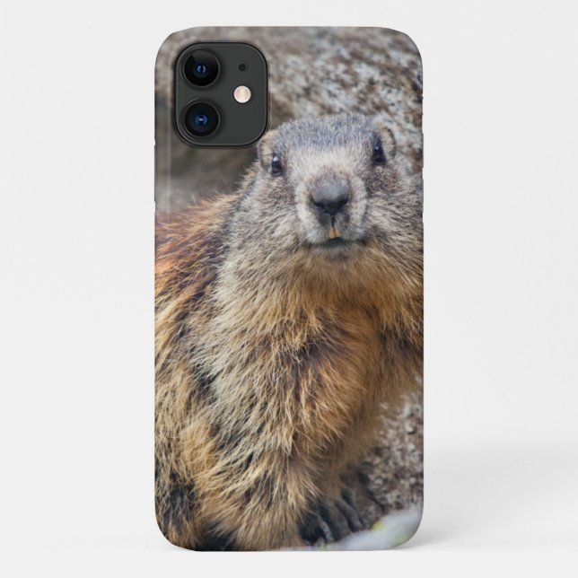 Alpine Marmot iPhone 11 Case (Back)
