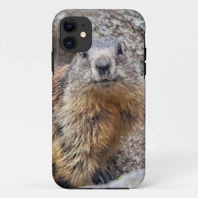 Alpine Marmot iPhone 5 Case (Back)