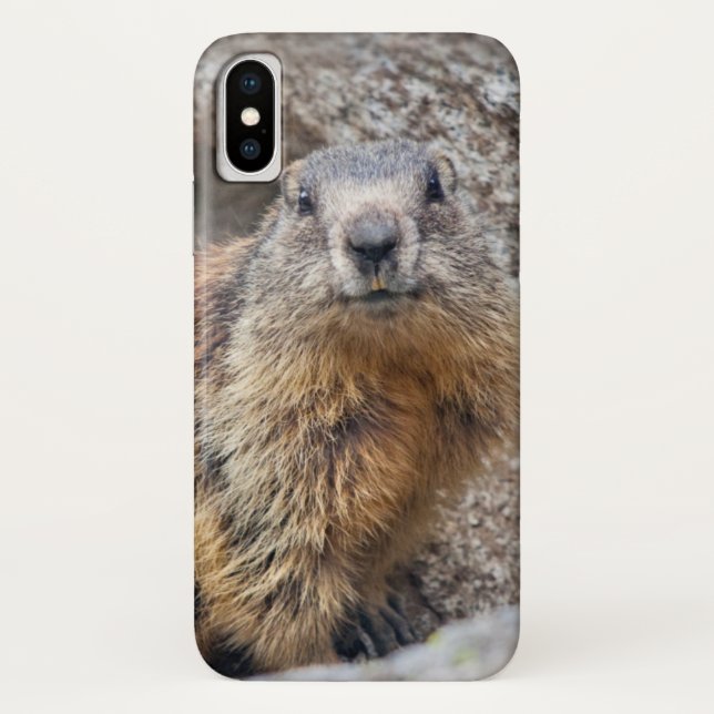 Alpine Marmot iPhone X Case (Back)