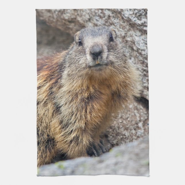 Alpine Marmot Kitchen Towel (Vertical)