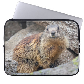 Alpine Marmot Laptop Sleeve