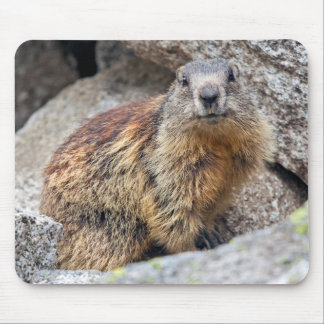 Alpine Marmot Mousemat Mouse Pad