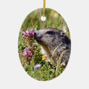 Alpine marmot near flower ceramic ornament
