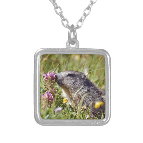 Alpine marmot near flower silver plated necklace
