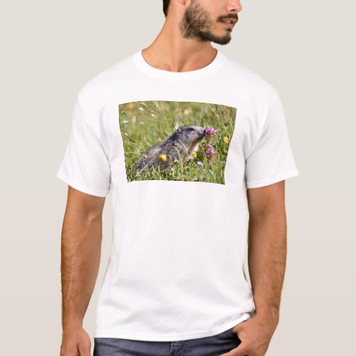 Alpine marmot near flower T_Shirt