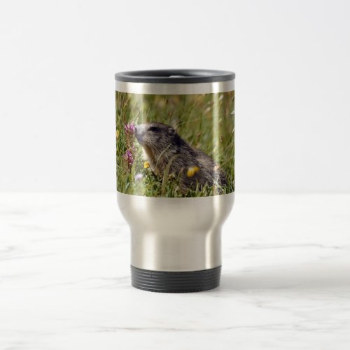 Alpine marmot near flower travel mug
