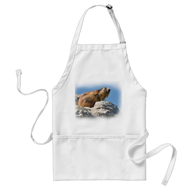 Alpine marmot on rock adult apron (Front)