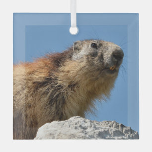 Alpine marmot on rock glass ornament