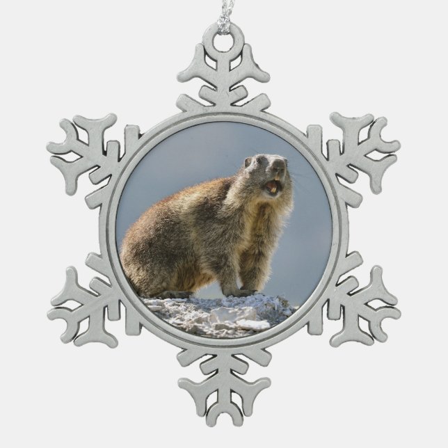 Alpine marmot on rock snowflake pewter christmas ornament (Front)