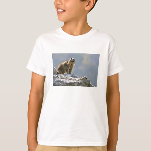 Alpine marmot on rock T_Shirt