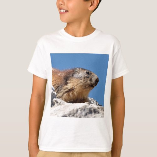 Alpine marmot on rock T_Shirt