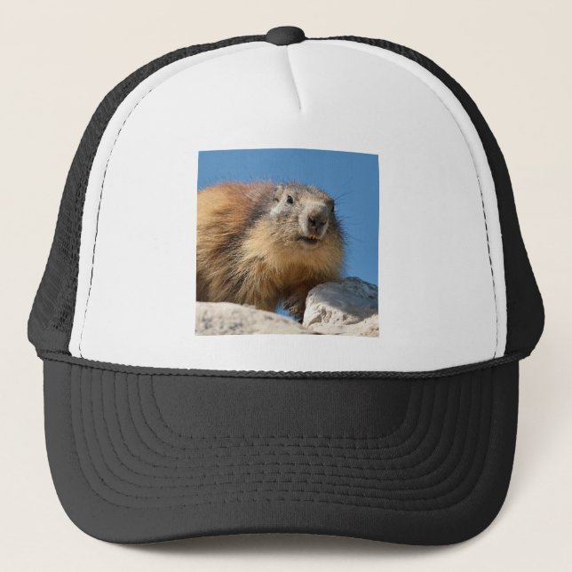 Alpine marmot on rock trucker hat (Front)