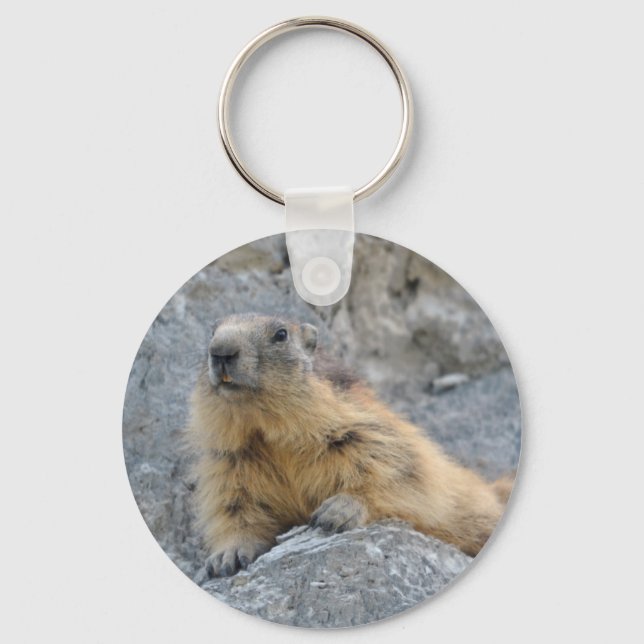 Alpine marmot on the roch keychain (Front)