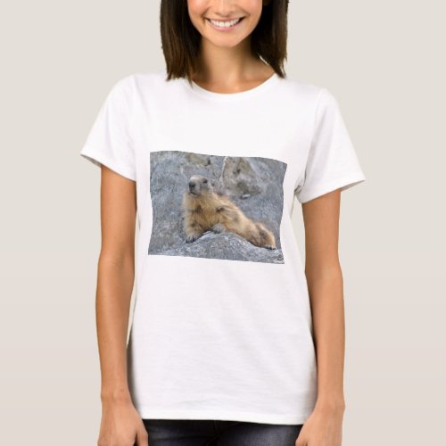Alpine marmot on the roch T_Shirt