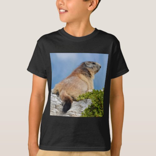 Alpine marmot on the rock T_Shirt