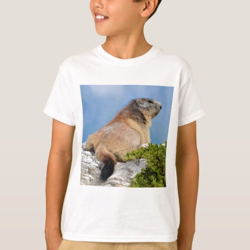 Alpine marmot on the rock T_Shirt