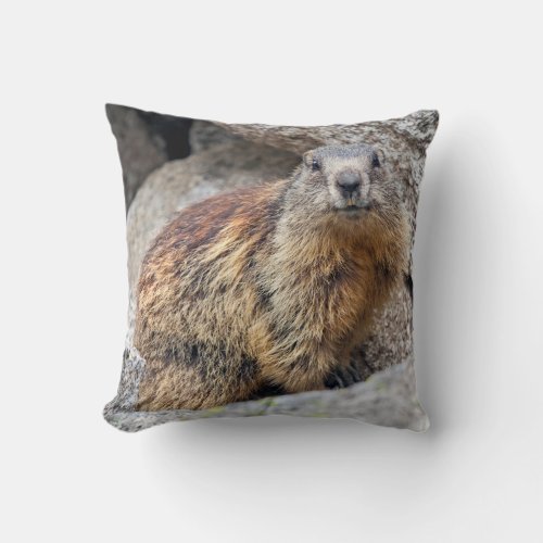 Alpine Marmot Pillow