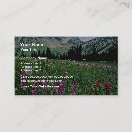 Customizable Alpine meadow in the Pasayten Wilderness, Californ Business Card