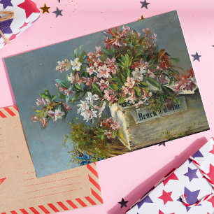 Alpine Roses in a Window Box – Andreas Lach Postcard