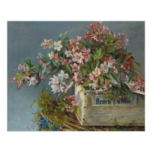 Alpine Roses in a Window Box – Andreas Lach Poster