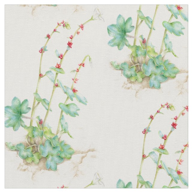 Alpine saxifrage watercolor flower fabric (Close Up)