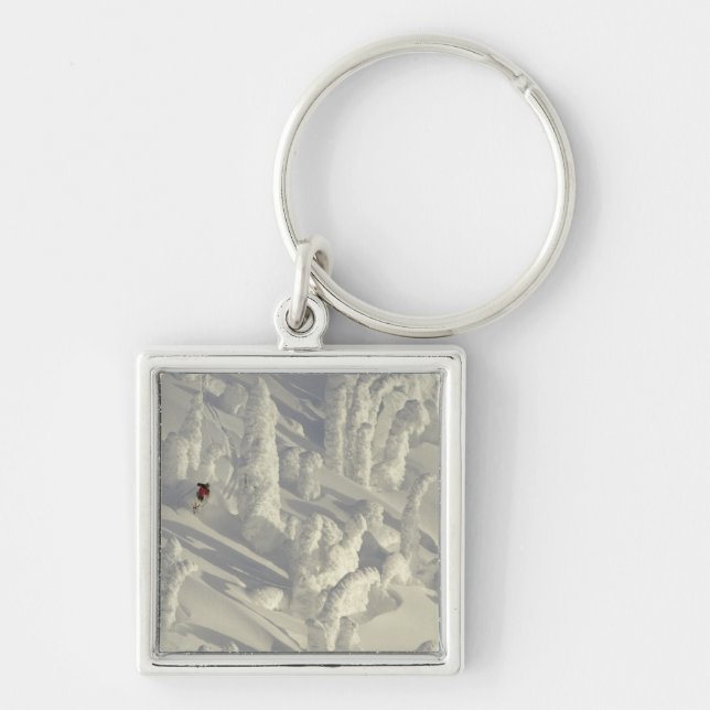 Alpine Skier in thick snowghosts at Big Keychain (Front)