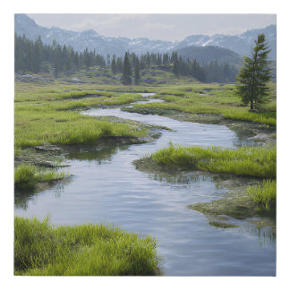 Alpine Valley Stream Green Meadows Snowy Peaks Faux Canvas Print