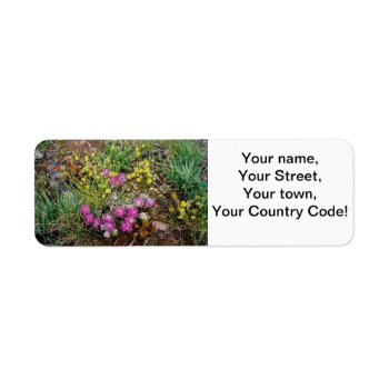 Alpine Wildflower Address Labels by VacationPhotography at Zazzle