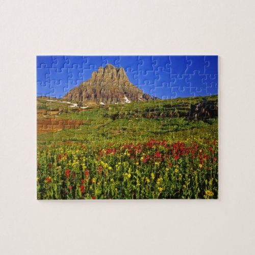 Alpine wildflowers at Logan Pass in Glacier Jigsaw Puzzle