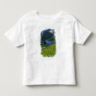 Alpine Wildflowers in the Jewel Basin in the Toddler T-shirt