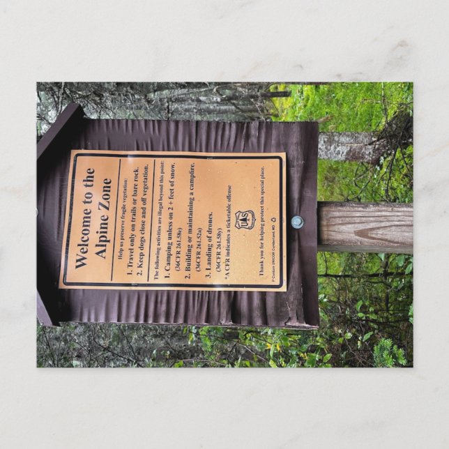 Alpine Zone - White Mountains National Forest Postcard (Front)