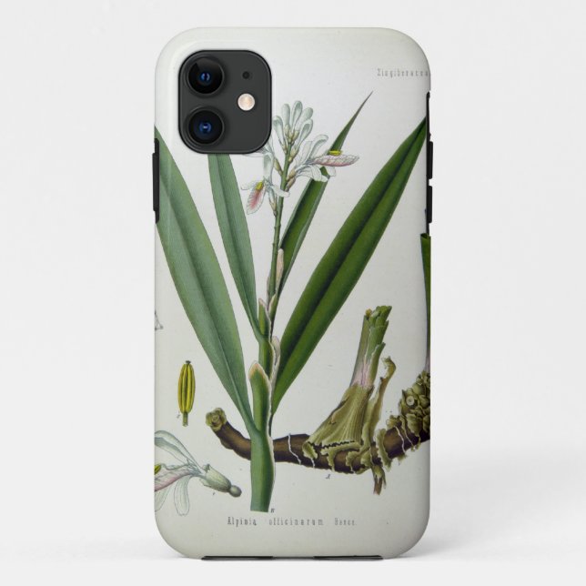 Alpinia officinarum Case-Mate iPhone case (Back)