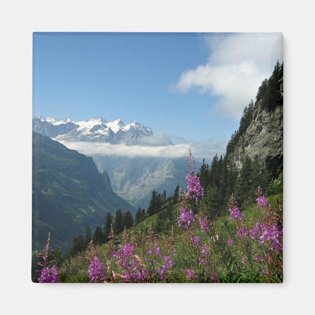 Alps, Switzerland Magnet (Front)