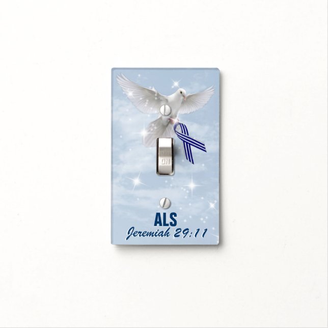 ALS Light Switch Cover (In Situ)